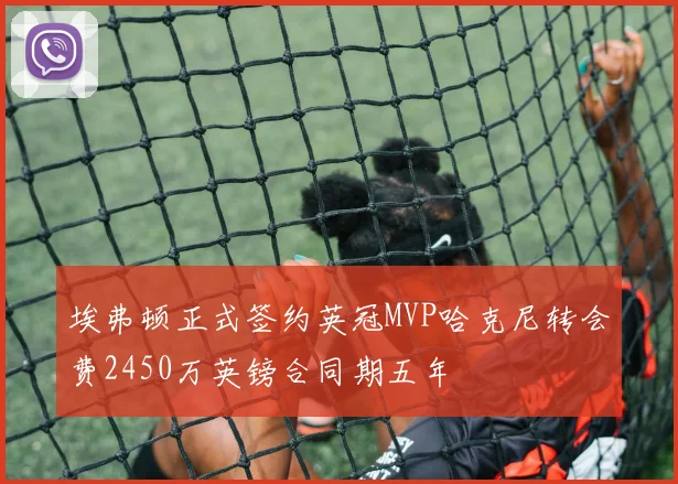 埃弗顿正式签约英冠MVP哈克尼转会费2450万英镑合同期五年