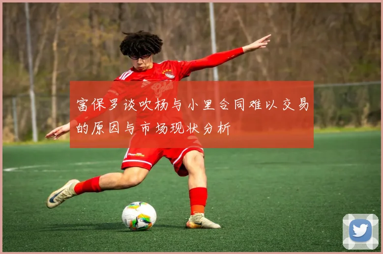 富保罗谈吹杨与小里合同难以交易的原因与市场现状分析