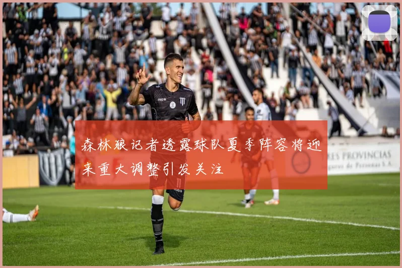森林狼记者透露球队夏季阵容将迎来重大调整引发关注