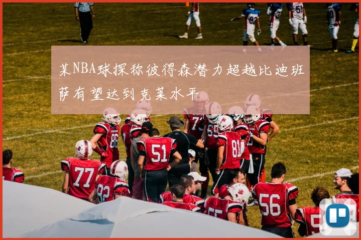 某NBA球探称彼得森潜力超越比迪班萨有望达到克莱水平