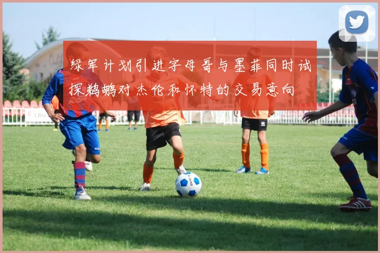 绿军计划引进字母哥与墨菲同时试探鹈鹕对杰伦和怀特的交易意向