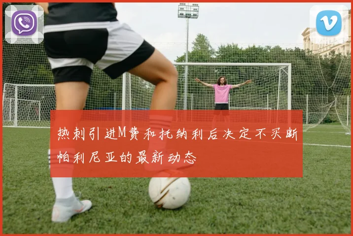 热刺引进M费和托纳利后决定不买断帕利尼亚的最新动态